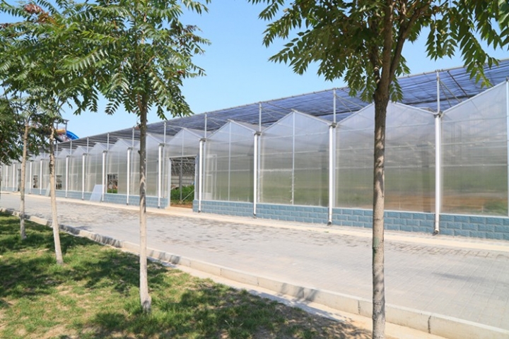 Greenhouse-specific polycarbonate sheets shine